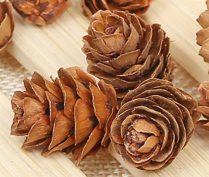 20 Wooden Natural Pinecones