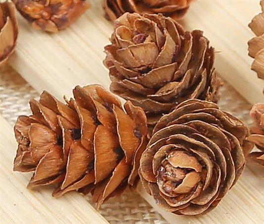 20 Wooden Natural Pinecones