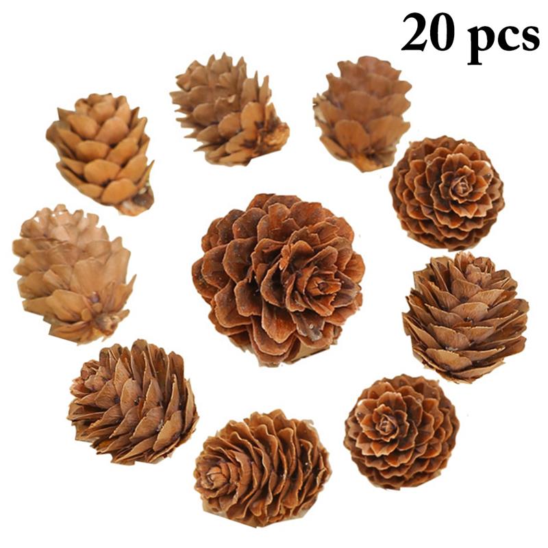 20 Wooden Natural Pinecones