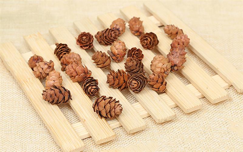 20 Wooden Natural Pinecones