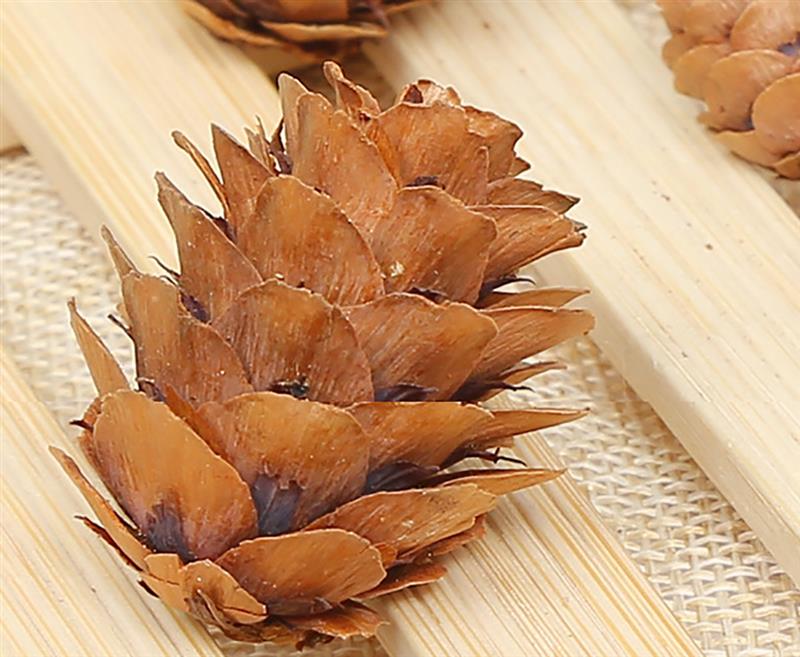 20 Wooden Natural Pinecones
